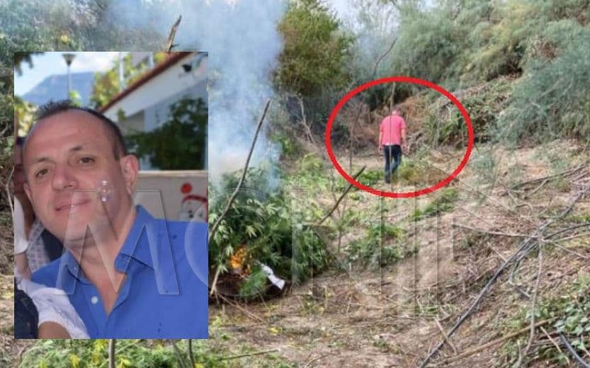 Momentet e fundit të efektivit Saimir Hoxha teksa asgjësonte rrënjët e kanabisit (FOTO)
