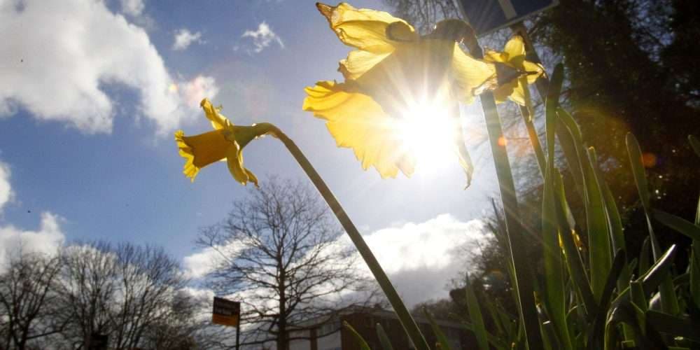 Ulje e lehtë temperaturash, parashikimi i motit për sot