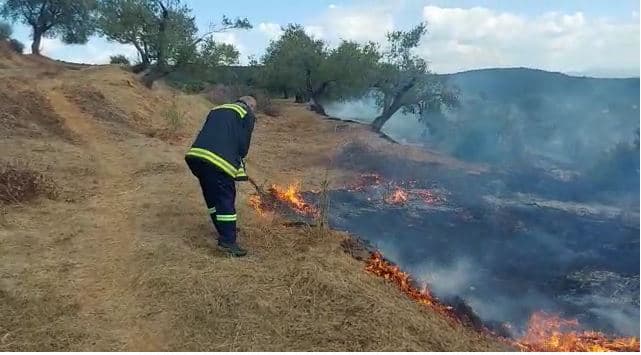 Zjarr në fshatin Bestrovë në Vlorë, flakët djegin ullishte dhe pemëtari