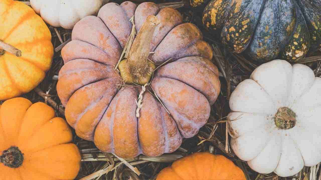 Dieta me kungull që ju ndihmon të ktheheni në formë