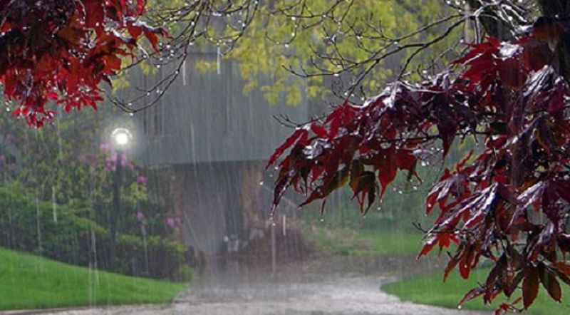Reshje shiu dhe temperaturat në rënie, parashikimi i motit për sot
