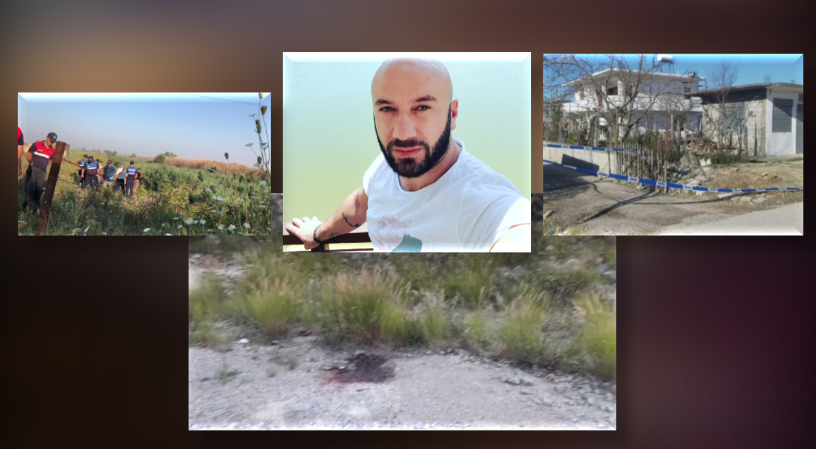 Nxori shokun në pritë për ta ekzekutuar, Prokuroria kërkon 30-vite burg për Mikel Alinë