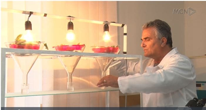 Domatja e dëmtuar nga insektet/ Shahini shpjegon përfundimet e raportit shkencor (VIDEO)