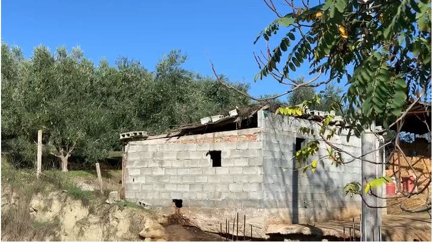 Nipi vrau xhaxhain dhe më pas veten, zbardhet dinamika e krimit në Vlorë