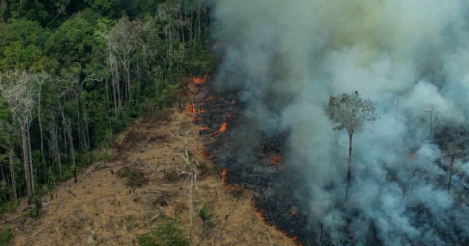 10 pyjet e UNESCO-s lëshojnë më shumë CO2 sesa thithin