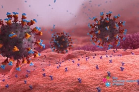 Video/ Si funksionojnë vaksinat Covid mRNA