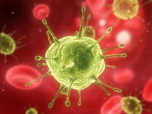 Rasti i dytë në botë: Një person shërohet nga HIV pa mjekim 