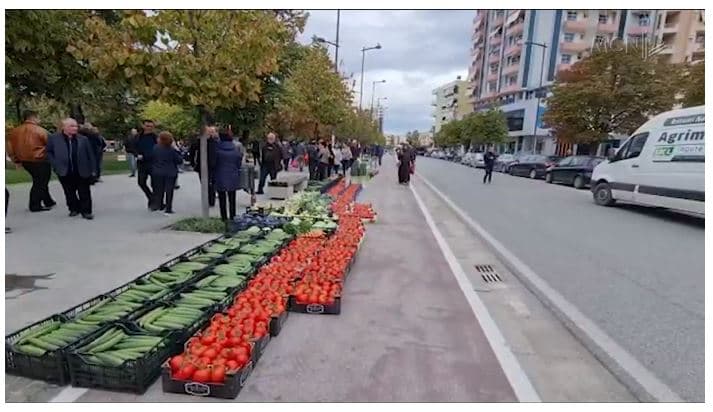 Teknologjia në ndihmë të bujqësisë, Serbia kërkon heqjen e barrierave me Shqipërinë (VIDEO)