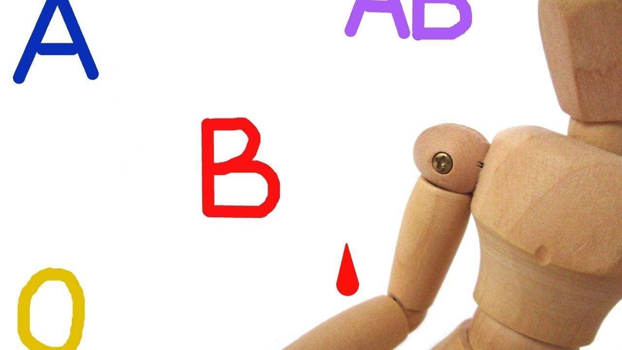 Njihuni me dietën tuaj sipas grupit të gjakut