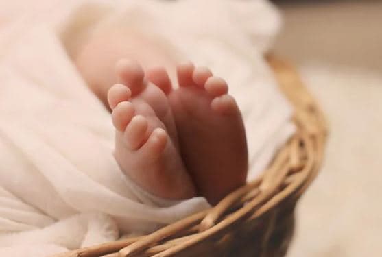 Aroma e foshnjave bllokon agresionin tek meshkujt, e stimulon tek femrat