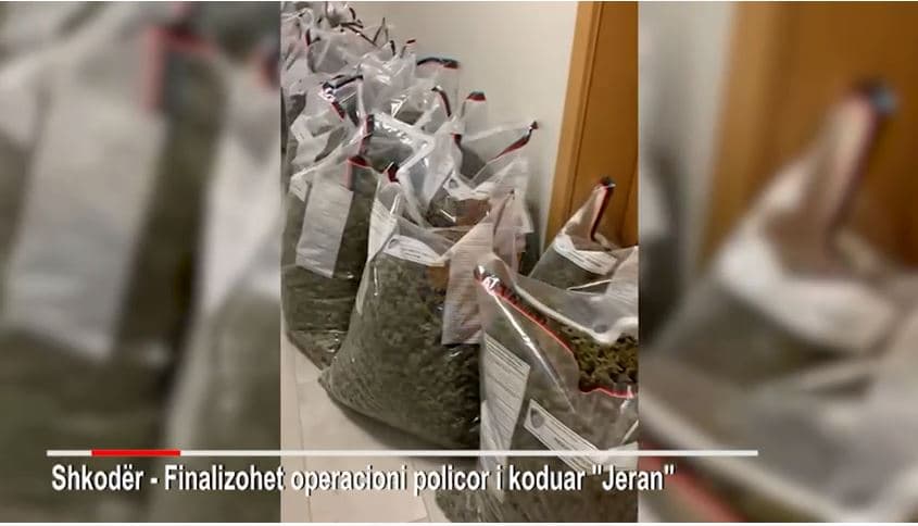 Kultivonin kanabis nё banesë, arrestohet gruaja në Shkodër, bashkëshorti në kërkim