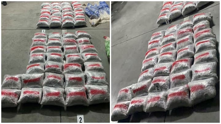 Po e çonin drogën nga liqeni i Shkodrës në Mal të Zi/ Policia sekuestron 88 kg kanabis