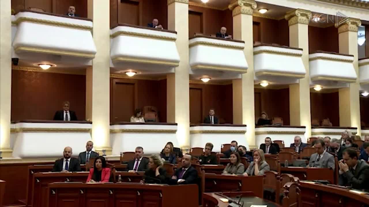 Votat pro të demokratëve në Kuvend (VIDEO)