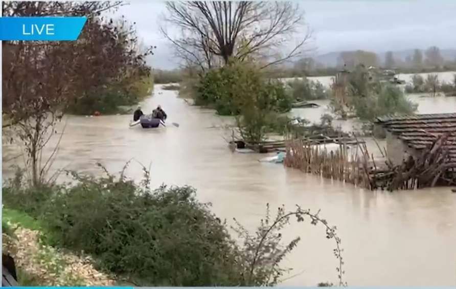 “20 milionë lekë dëm në sera”, Avdullau: Nuk kam marrë asnjë asistencë nga autoritetet (VIDEO)