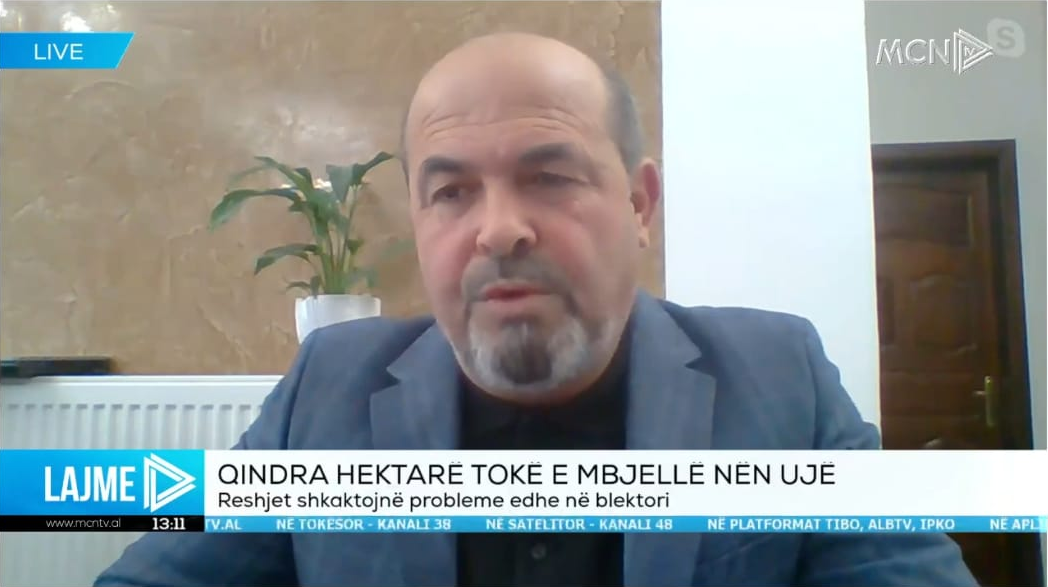 Qindra hektarë tokë e mbjellë nën ujë, Sharka: Ka dëme në shumë kultura bujqësore