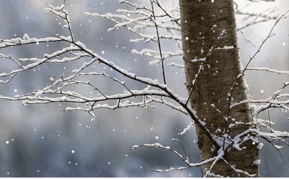 Temperaturat deri -7°C, parashikimi i motit për sot