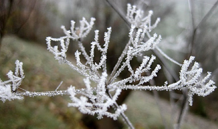 Temperaturat ulen deri ne -5°C, parashikimi i motit për sot