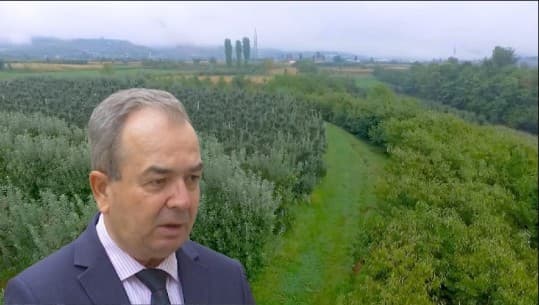 Rrapaj: Blegtorët kanë problemet e kostos dhe këto duhen subvencionuar