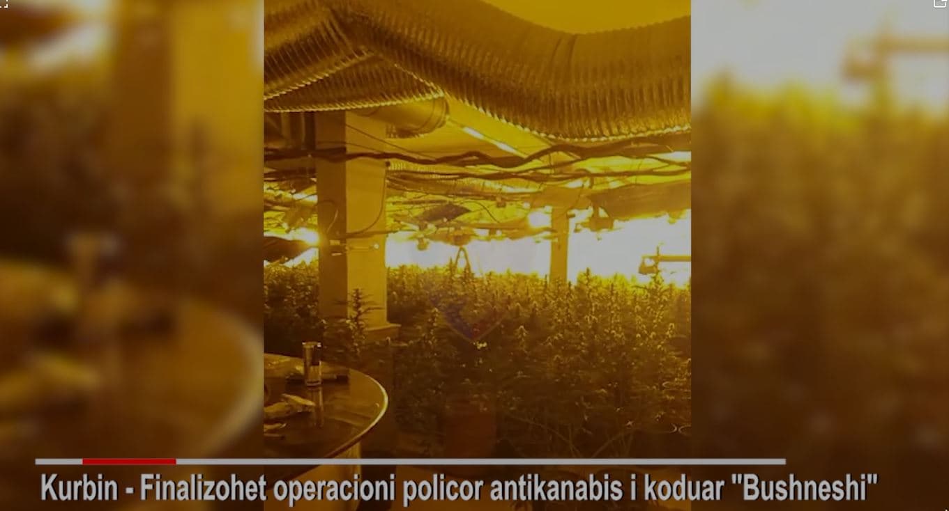      Shtëpi bari në Kurbin/ Arrestohen shtatë persona, katër prej tyre elektricistë dhe faturistë të OSHEE