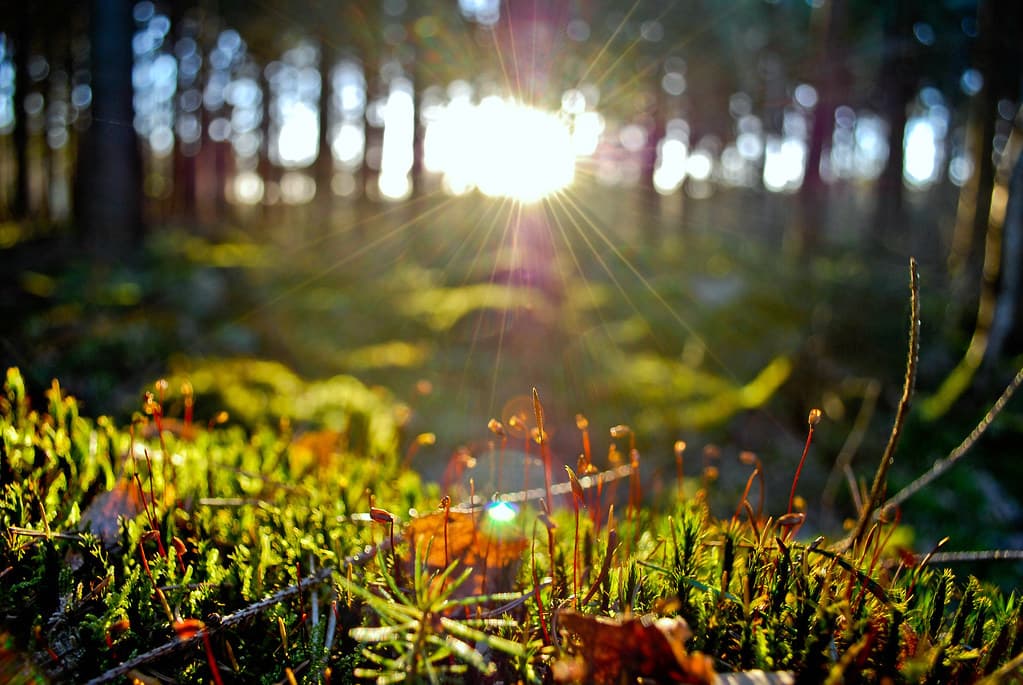 Rriten temperatura, njihuni me parashikimin e motit për sot