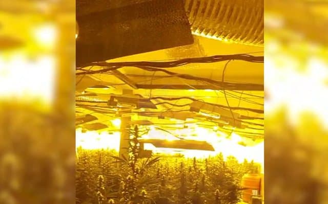 Kthyen bodrumin e banesës në shtëpi bari, jepet masa e sigurisë për 7 të arrestuarit