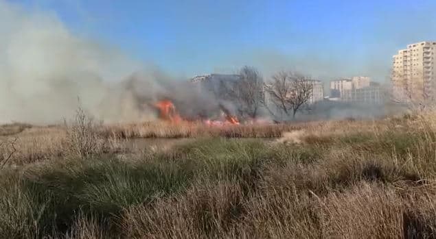 Zjarr në Kunë Vain, rrezikohen banesat pranë (VIDEO)