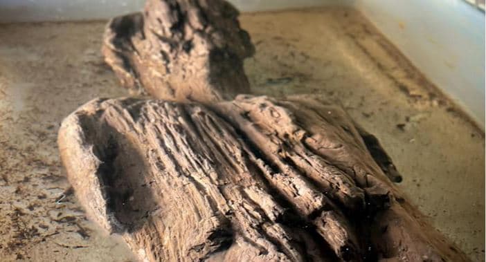 Zbulohet një qytet romak në Britani