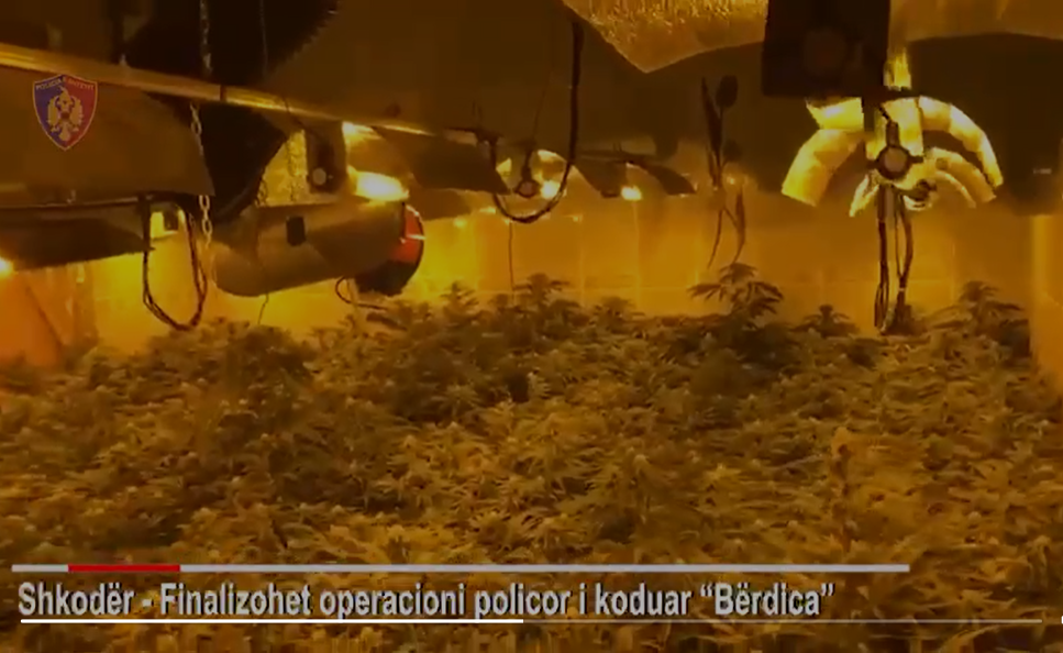 Laboratori i drogës në Bërdicë/ Prokurori urdhëron lirimin e 5 elektricistëve të arrestuar