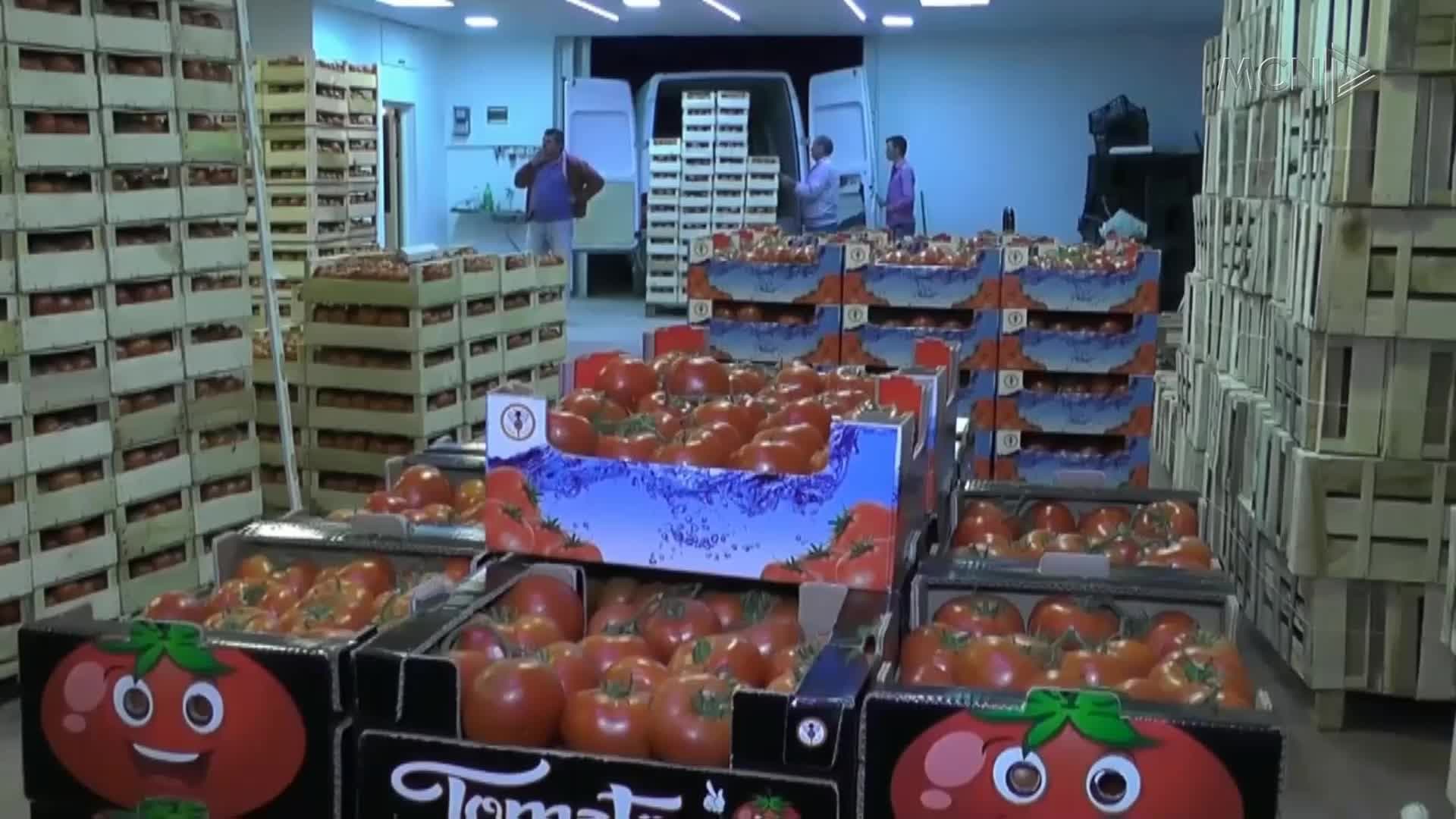 Listë me borxhet e fermerëve (VIDEO)