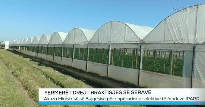 Fermerët drejt braktisjes së serave, akuza Ministrisë së Bujqësisë për shpërndarje selektive të fondeve IPARD (VIDEO)