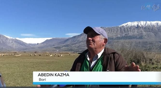 Zbrazen kullotat në Gjirokastër/ Abedin Kazma, 55 vjet me kërrabën e bariut në dorë