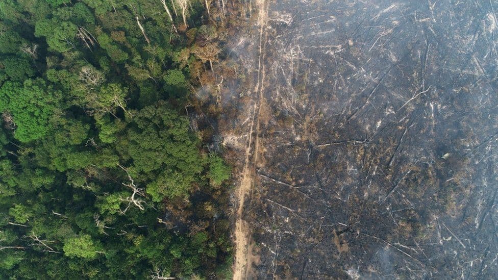 Shpyllëzim rekord i Amazonës në janar