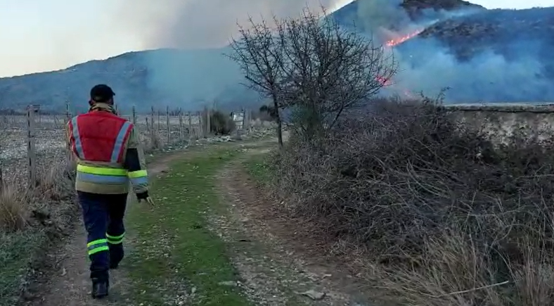 Zjarri përfshin malin në fshatin Dukat i Ri (VIDEO)