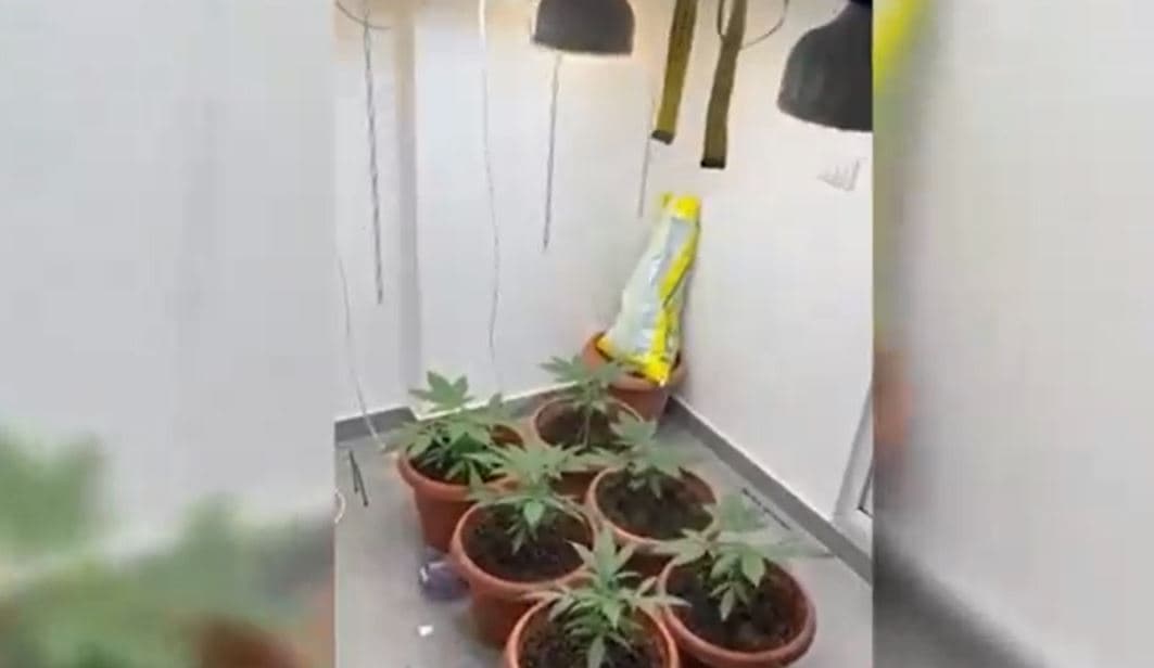 Video/ 'Shtëpi bari' në qendër të Tiranës, arrestohen 2 persona