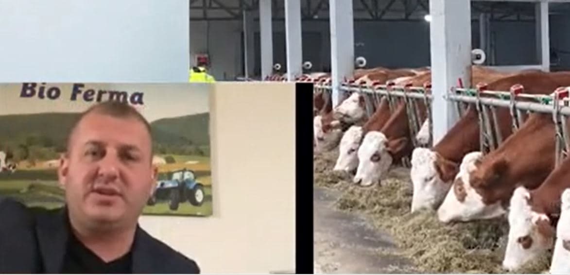Fermeri nga Lushnja: Jemi në kushte mbijetese, subvencionet qesharake (VIDEO)