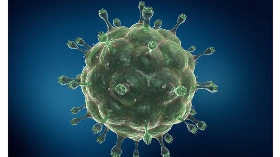 BBC: Regjistrohet gruaja e parë në botë që shërohet nga SIDA