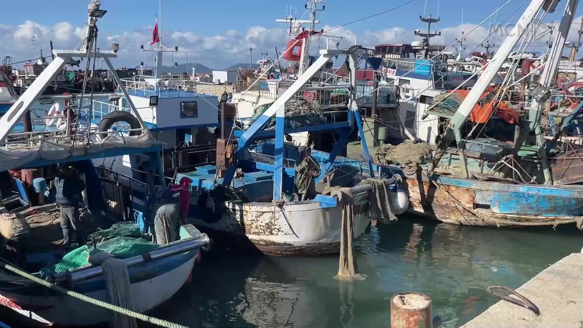 Peshkatarë nga Egjipti fillojnë punë në Vlorë (VIDEO)