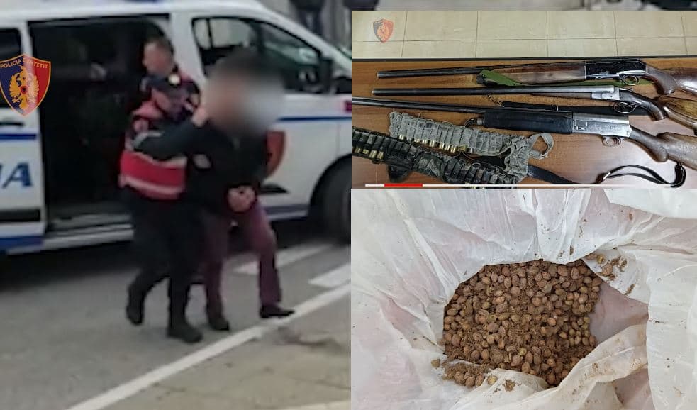 Mbi 1 mijë fara kanabisi dhe armë, pranga një personi në Gjirokastër/ Emri 