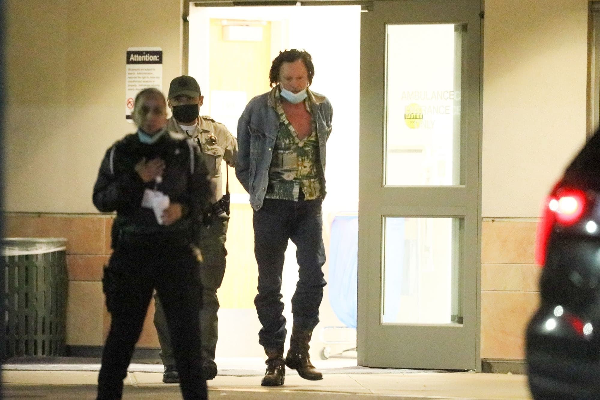 Arrestohet aktori Michael Madsen