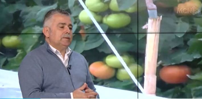 Konflikti Rusi-Ukrainë/ Pilku: Do kemi rritje 20-30 për qind të çmimeve të importit, impaktohen xhepat e konsumatorit (VIDEO)