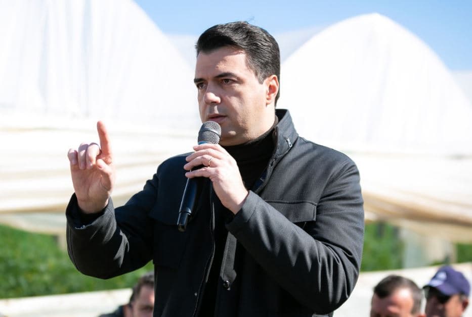 Basha në krah të Sefës: Të dielën tregu i Lushnjës do të çlirohet nga banda e Lushnjës