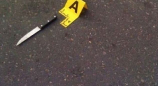 Policia do t’i arrestonte të atin, 22-vjeçarja në Kamëz godet me mjet prerës efektivin