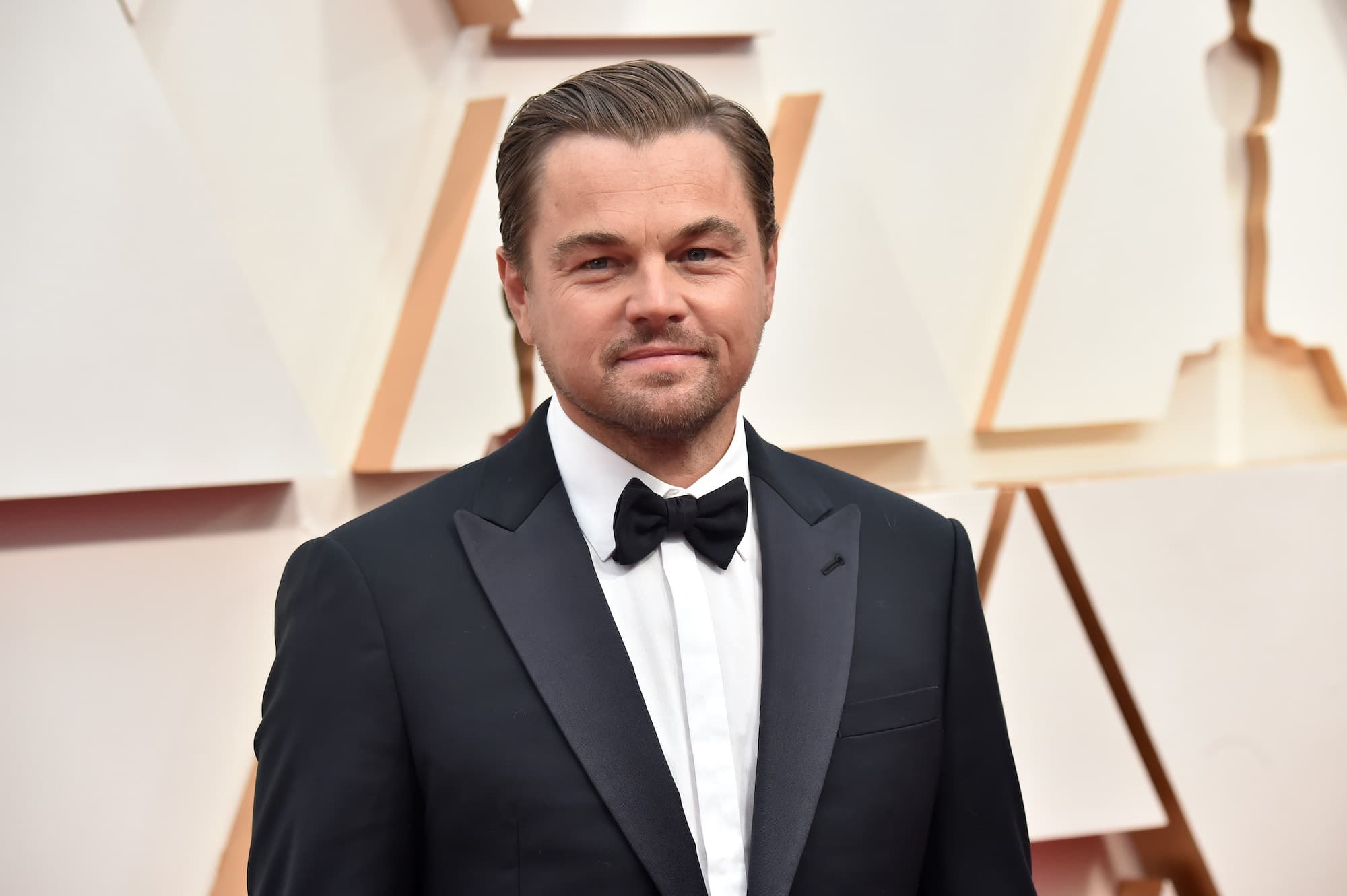 Leonardo DiCaprio dhuron 7.6 milionë £ për atdheun e gjyshes së tij, Ukrainën