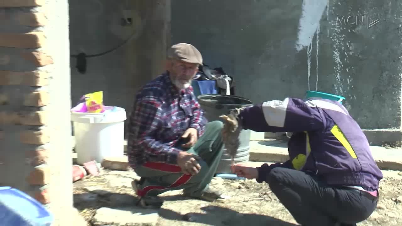 Gripi prek edhe pulat e fshatit (VIDEO)