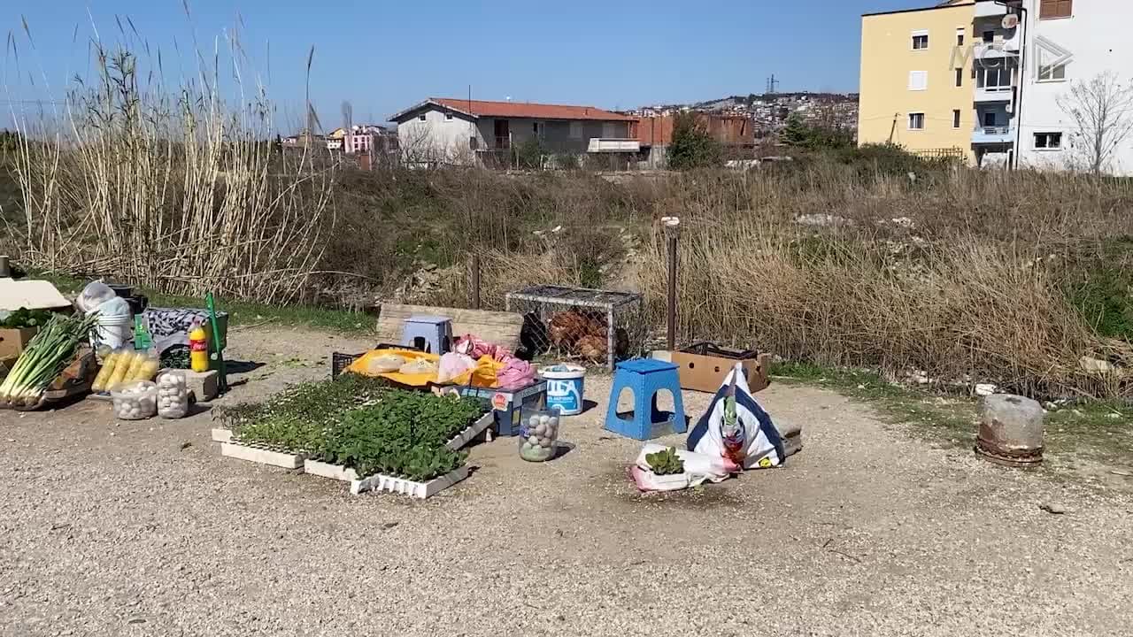 AKU harron kontrollet në Lezhë (VIDEO)