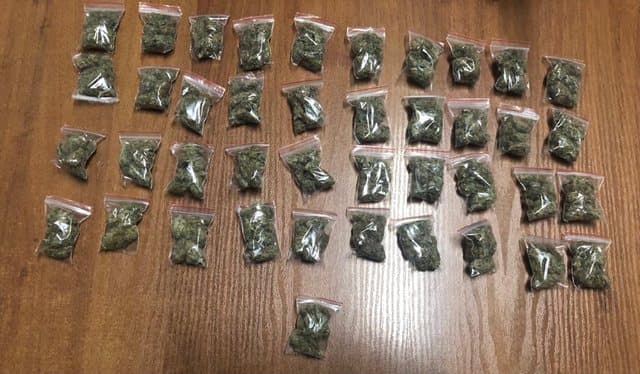 Kapet me 72 doza canabis sativa, në pranga 29-vjeçari nga Tepelena