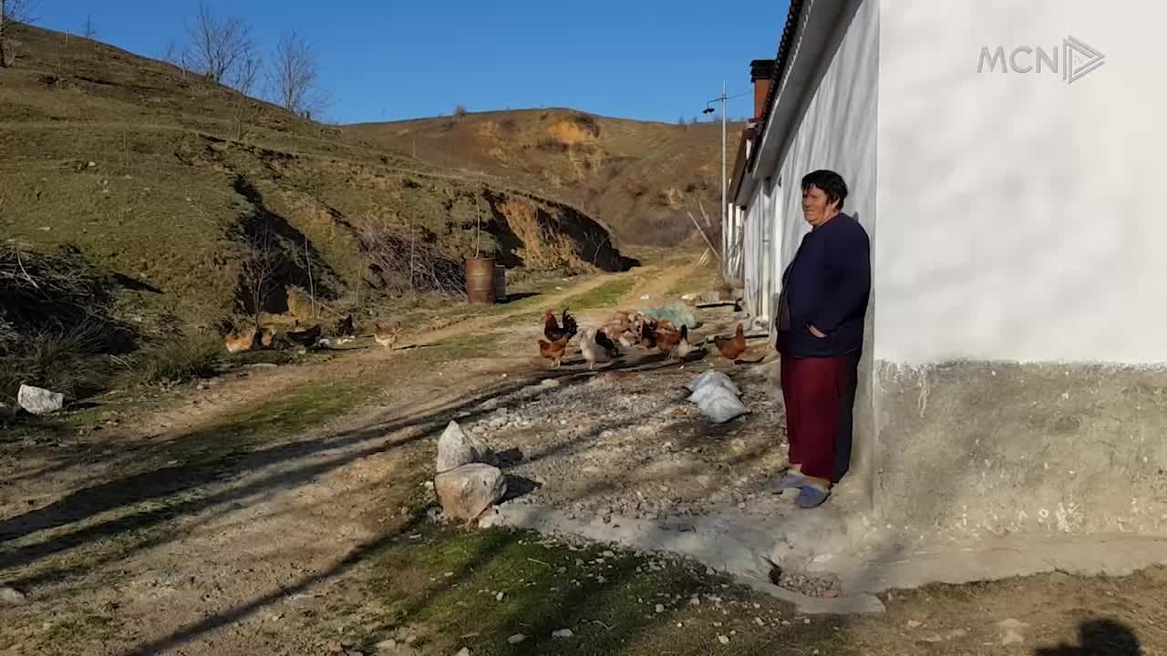 Asgjësohen pulat e fshatit në Prespë (VIDEO)