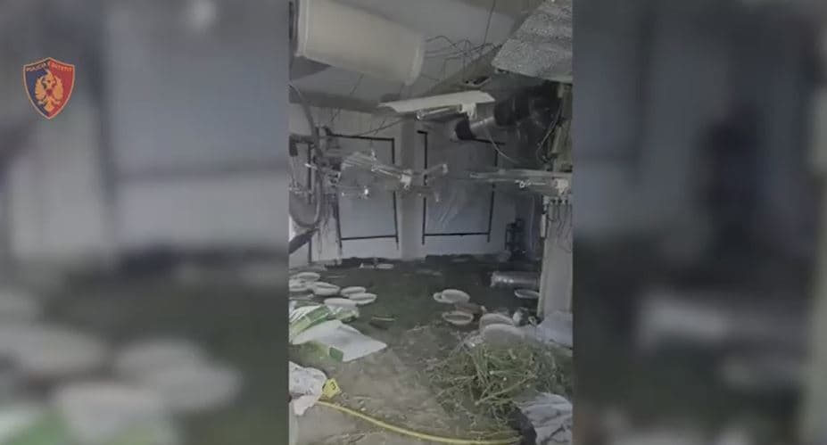 Hoteli ishte kthyer në ambient për kultivim narkotikësh/ Dy në kërkim, procedohet pronari