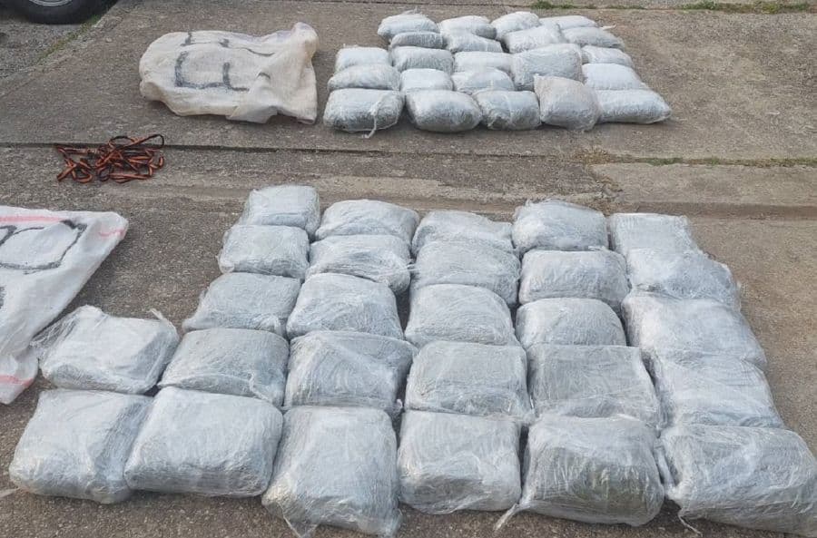Sekuestrohet në Malin e Zi 54 kg marijuanë që vinte nga Shqipëria