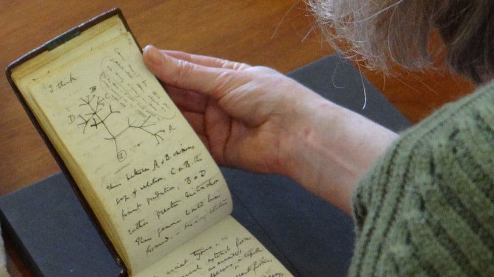 Blloqet e shënimeve të Darwin-it kthehen në Universitetin e Kembrixhit